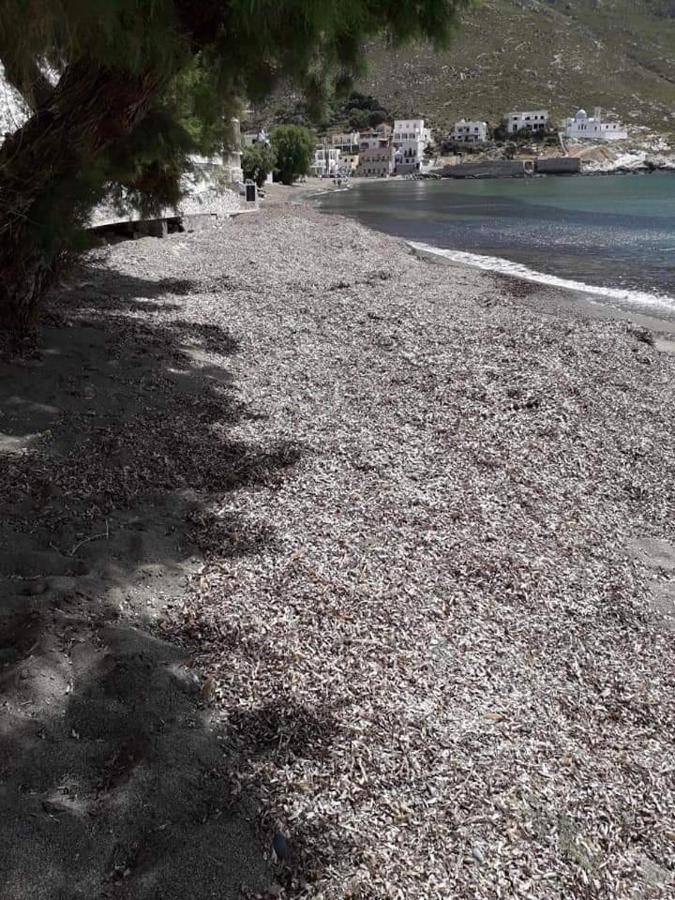 Kalymnos Beach House Panormos  Екстериор снимка